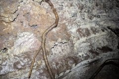 2_9298-FILEminimizer