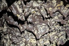 2_9309-FILEminimizer