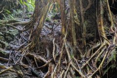 2_9501-FILEminimizer