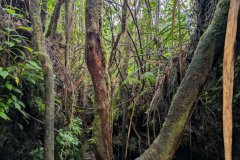 2_9505-FILEminimizer