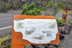 PXL_20231205_0856460682-FILEminimizer