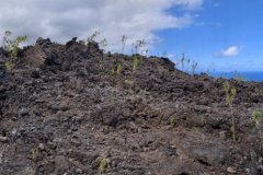 PXL_20231205_100130290.PANO-FILEminimizer